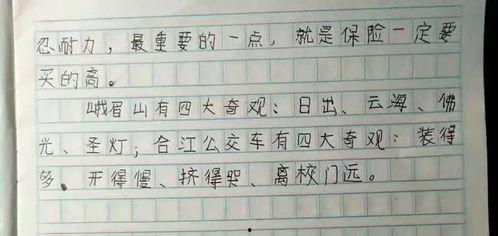 娱乐吃瓜酱小学生作文,小学生眼中的娱乐圈风云